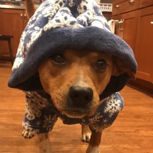 Meet your Posher, Candice